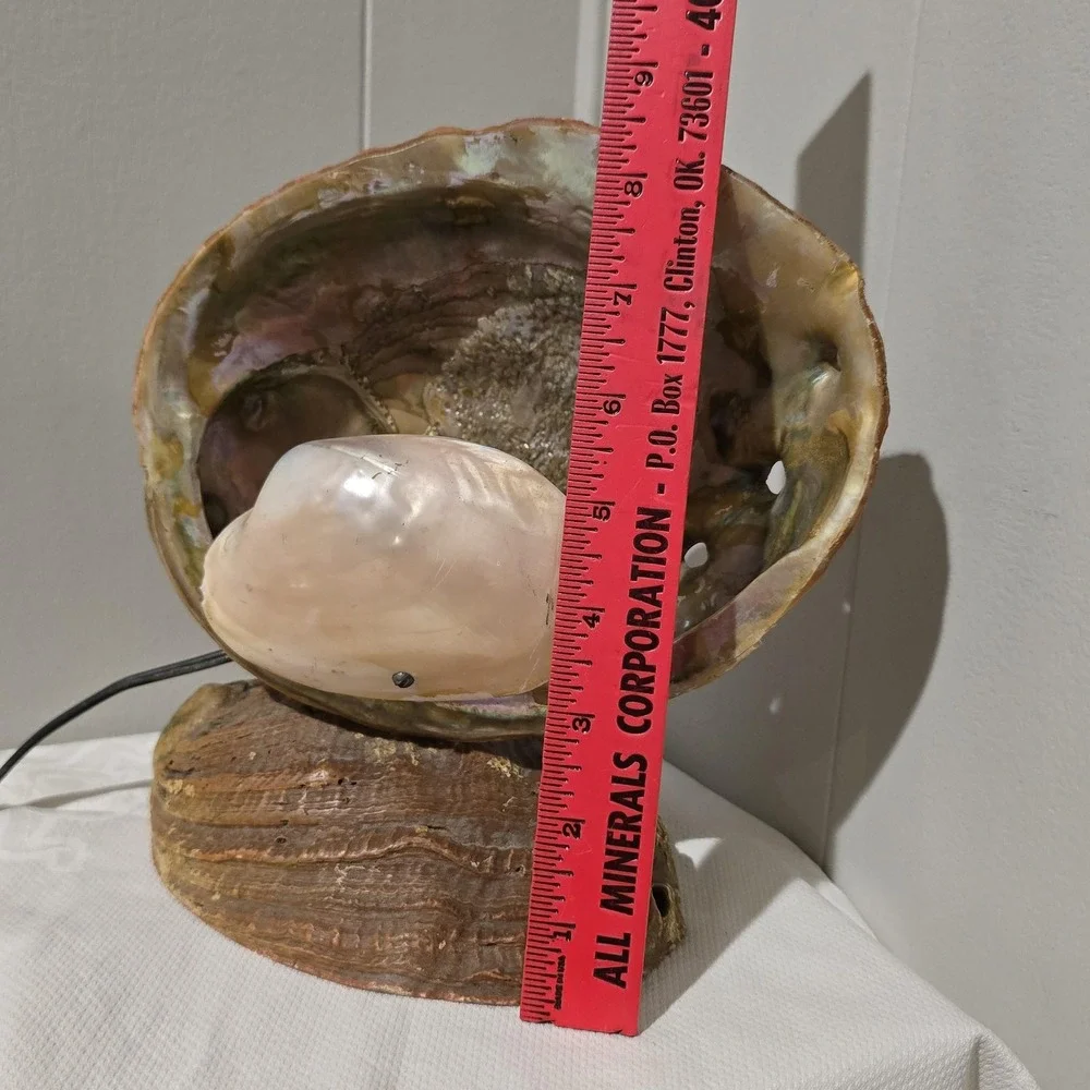 Vintage 60s Abalone Shell Lamp Mother of Pearl Coastal Beach Decor Night Light